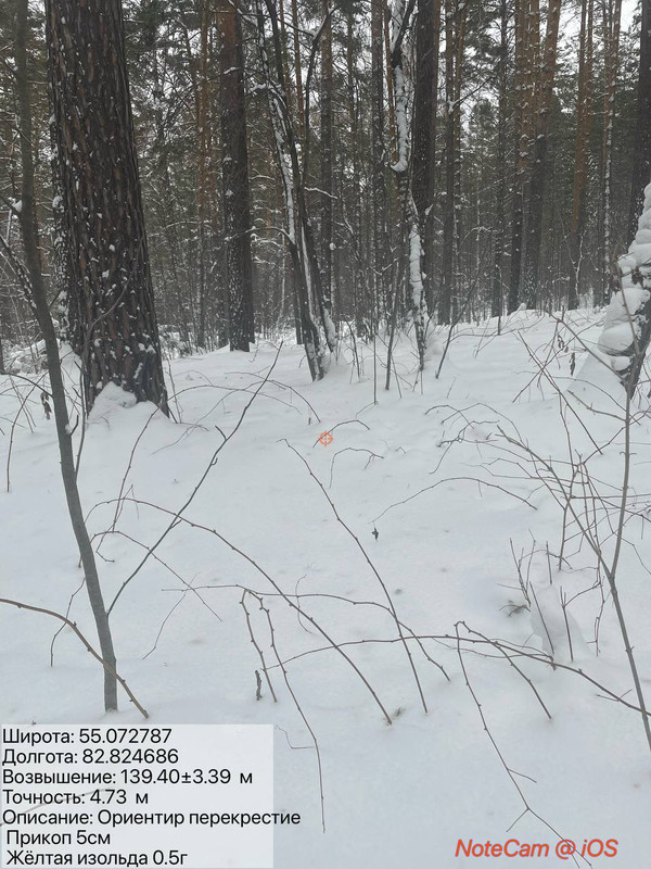 photo 2026 01 07 14 24 37