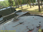 S6303954