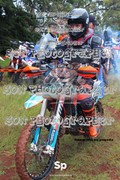 IMG-0012