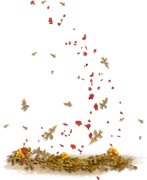 TADD_elements_Shimmer_Fall_57