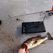 Finicky Fooler Hook Setter 2025