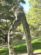 https://i.postimg.cc/3WZmKcQg/20260218-105301.jpg