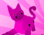 2024_03_27_0f3_Kleki