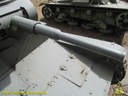 IMG-6536