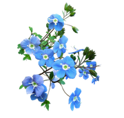 april-showers-SD-89