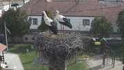Kép