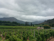 IMG-20241110-122249