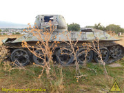 DSCN6517