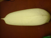 Kép