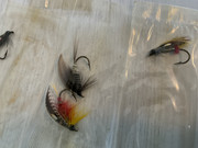 9DDA11B5-FAF6-498F-B936-54EA2F45141E