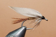 Big-Trout-1080