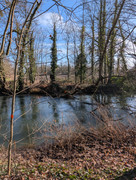 PXL 20260207 105101934