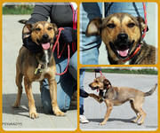 Be-Funky-collage-19.jpg&key=372e2a6c4ce9