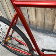 IMG-7014.jpg