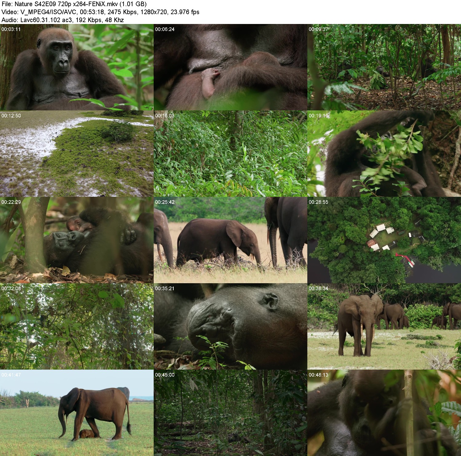 [Image: z6w2o67qdzfa.jpg]