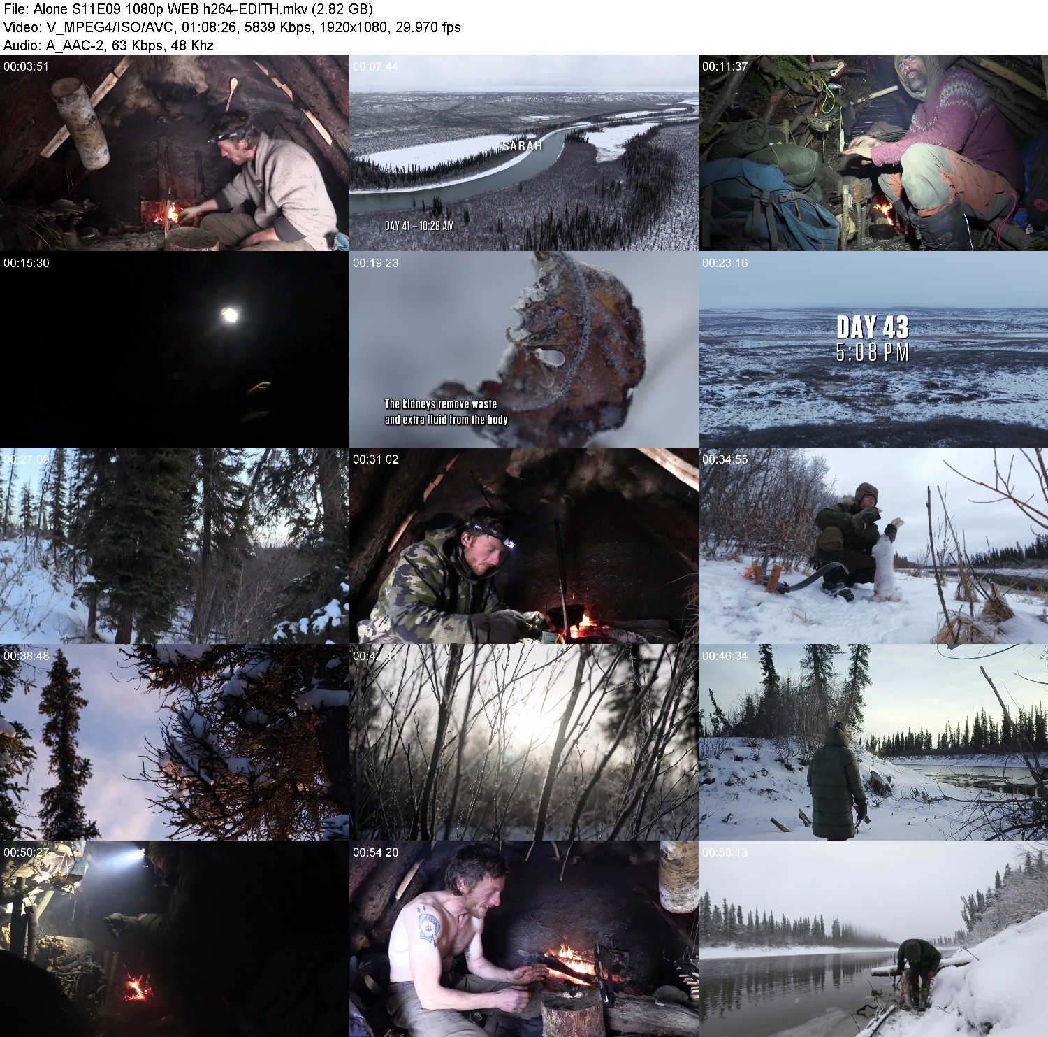 [Image: ej18z5nwum3v.jpg]