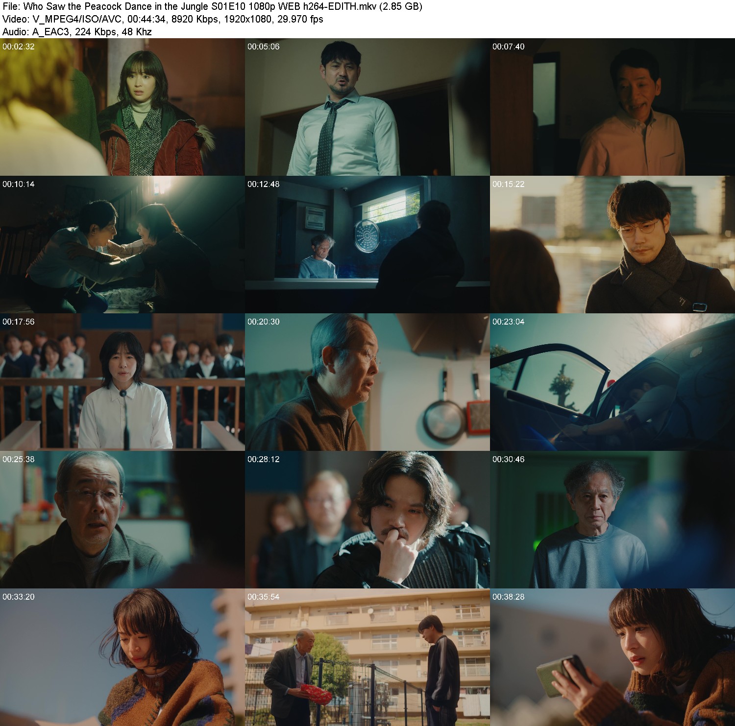 [Image: vl36xkpdei49.jpg]