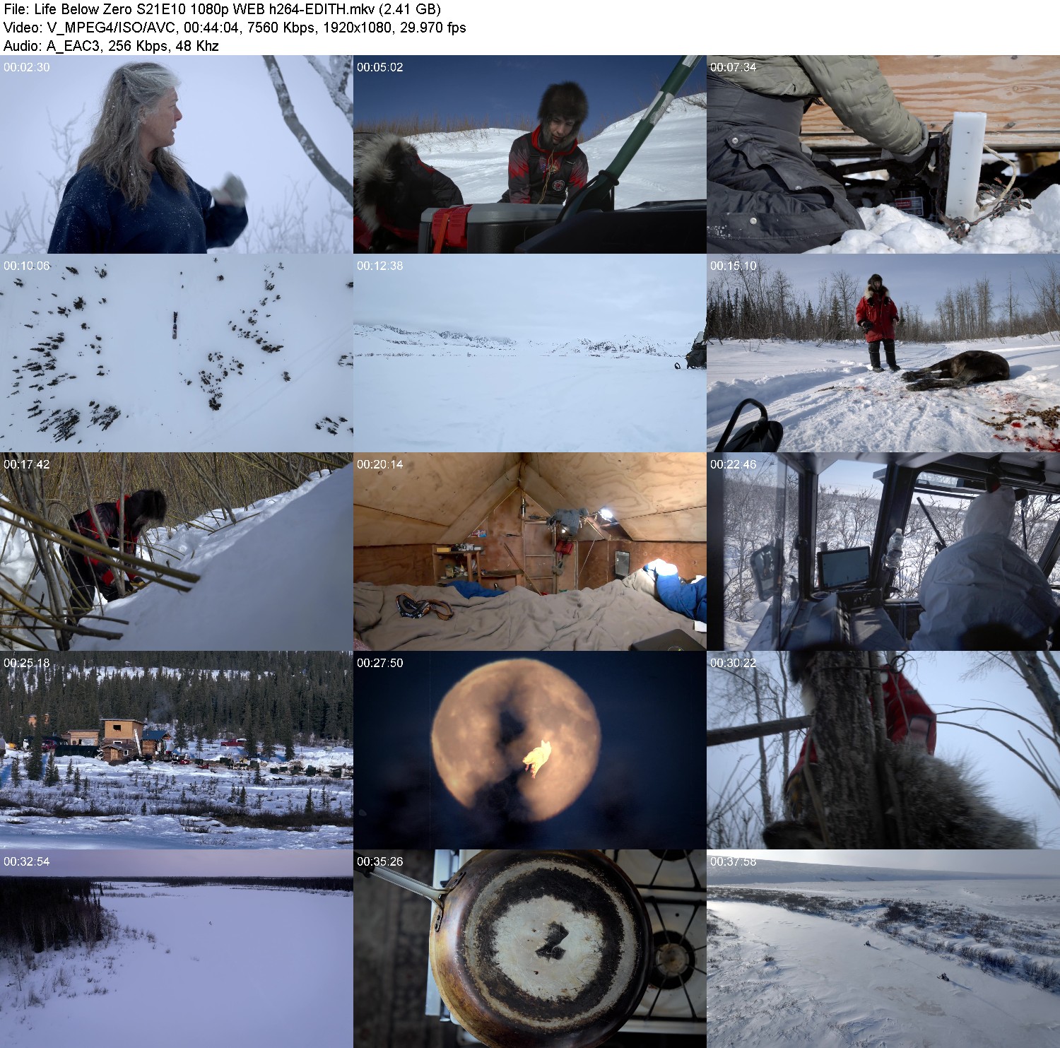 [Image: r9f0hh6j2jtf.jpg]