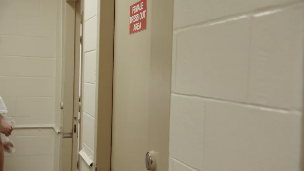 [Image: kh8qqd68jnz5.png]