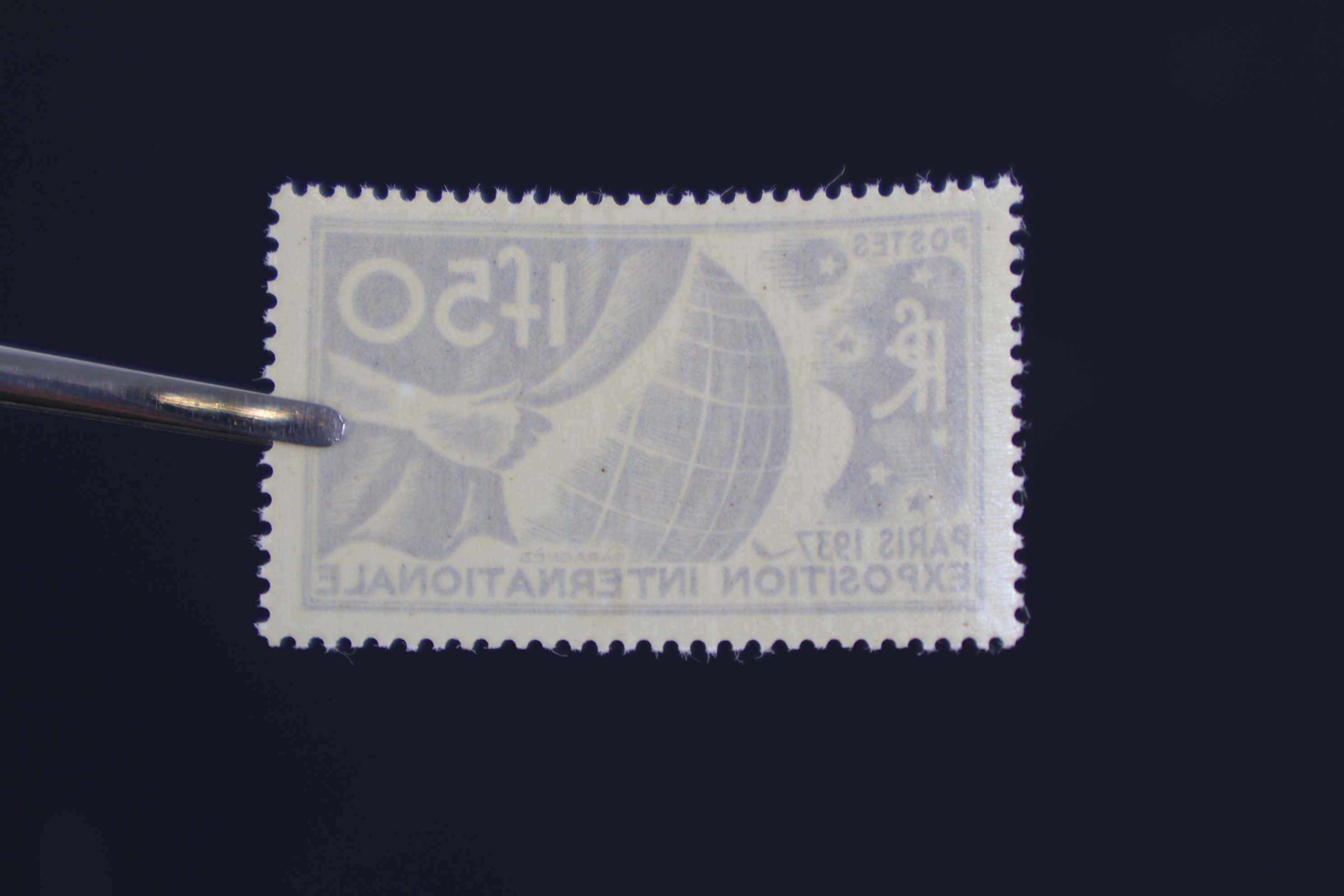 IMG-7061