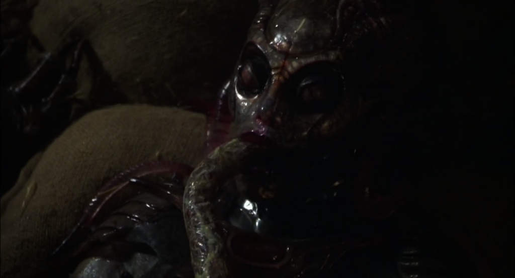 [Image: 04vk5gek4phf.png]