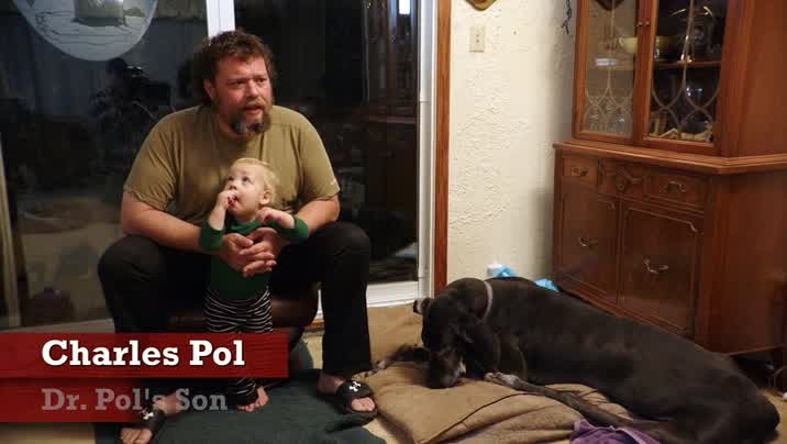 [Image: 84pyoz4z2svg.jpg]