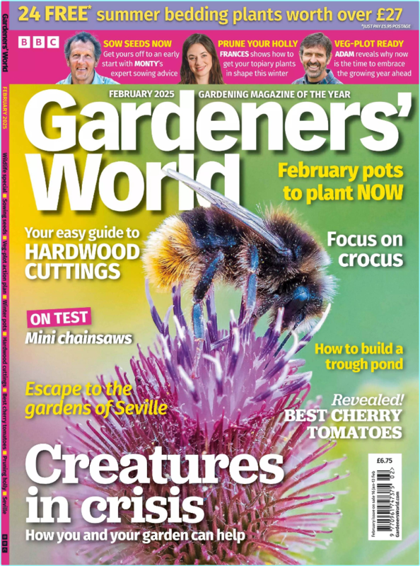 [Image: hrzgq17i8qy9.png]