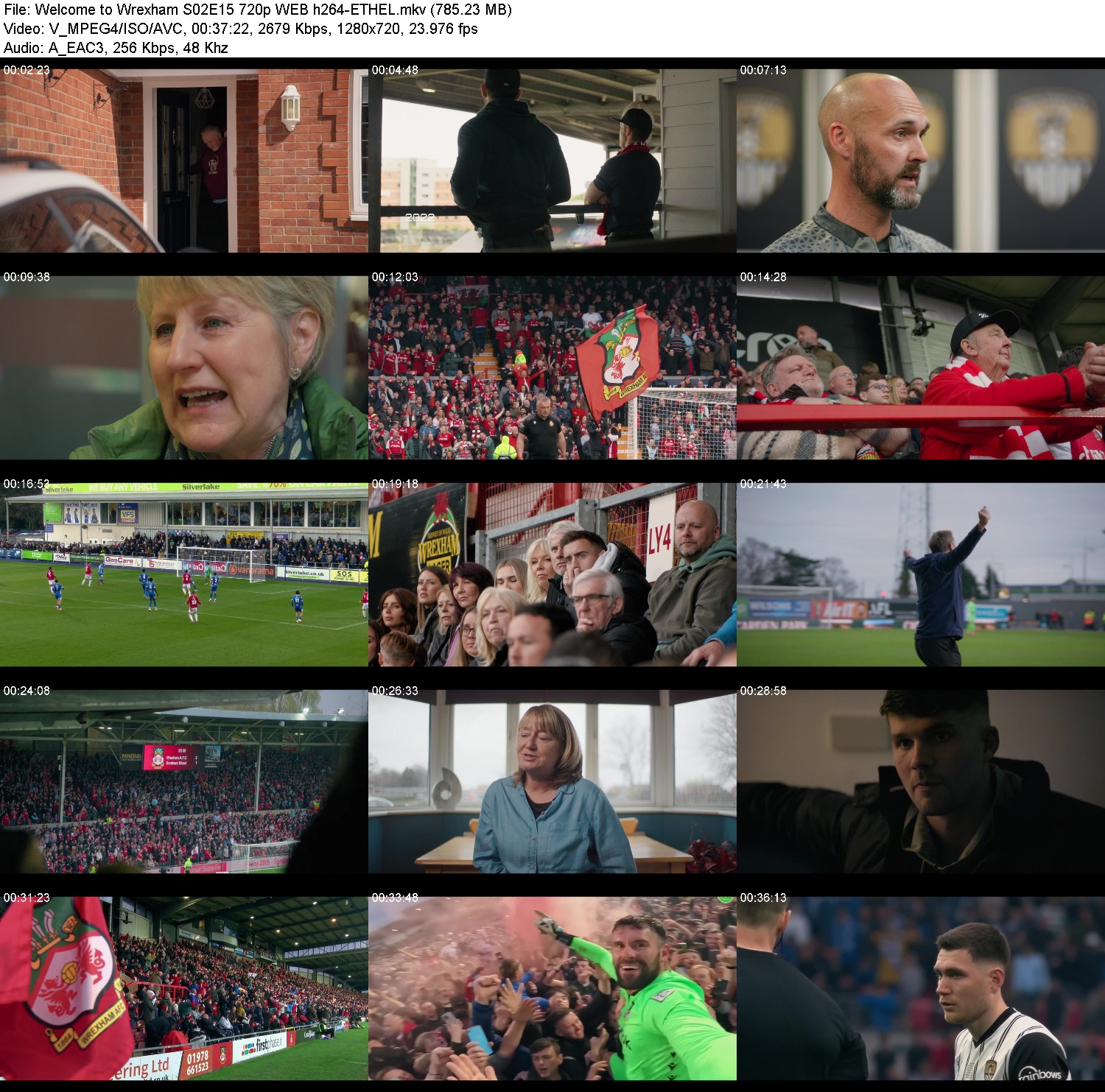 [Image: t4oqwcx2q53p.jpg]