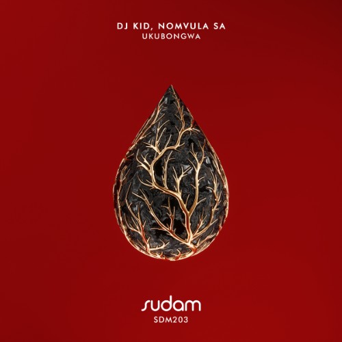 00-dj-kid-and-nomvula-sa-ukubongwa-sdm20