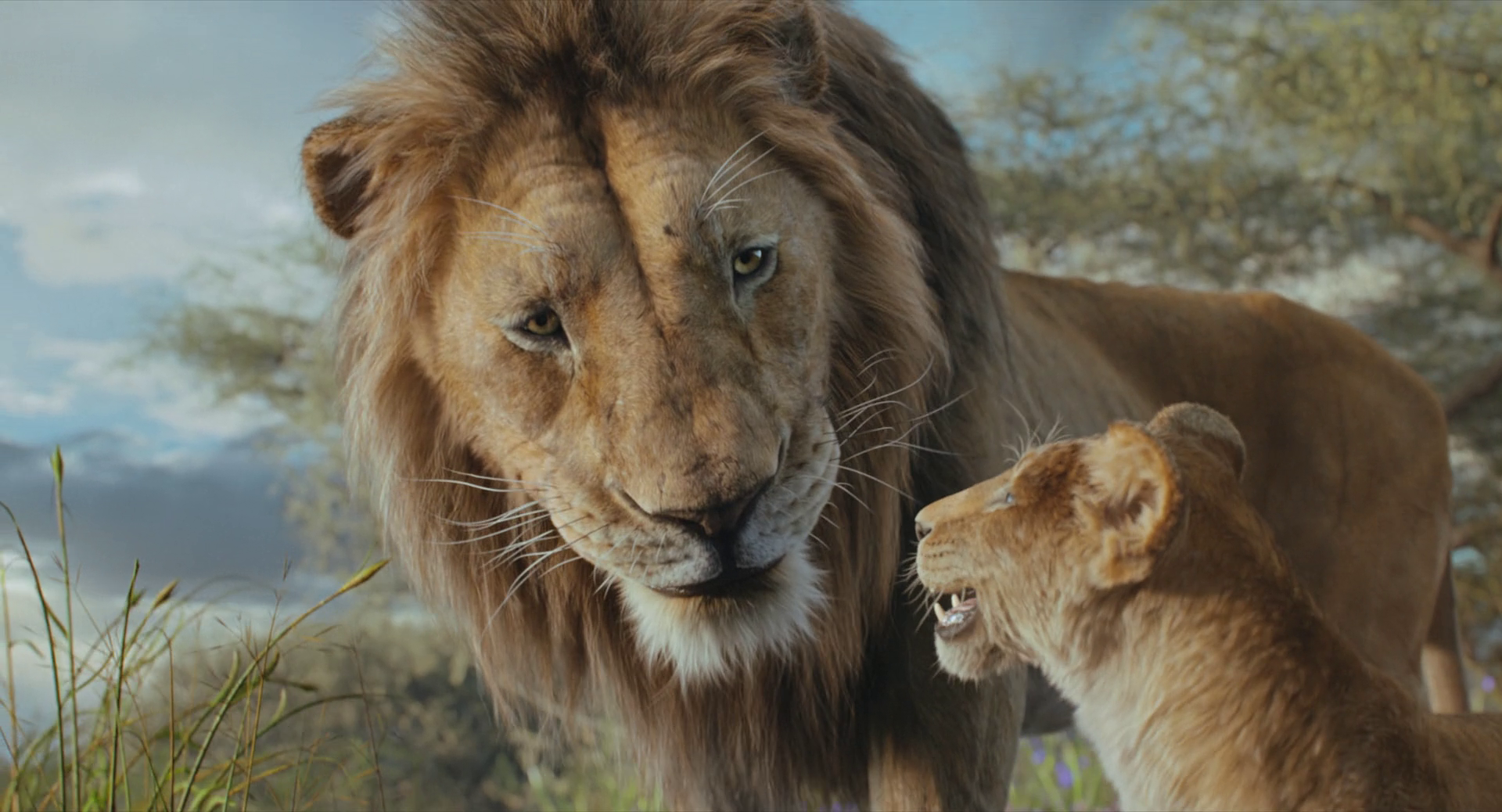 vlcsnap-2025-02-20-01h47m25s978 Mufasa: O Rei Leão (2024) PORTUGUESE 1080p WEBRiP DD 5 1 x264-OWN