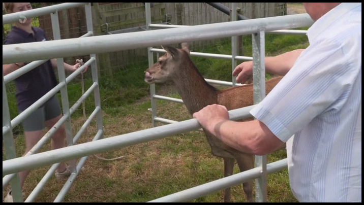 [Image: onl86zh92lpk.png]