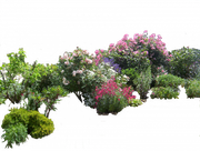 flowered_garden_png_03_by_hermitcrabstock_d4gyg0h.md