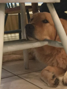 image_2023-02-02_230210308