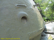 IMG-5502