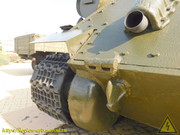 DSCN4552