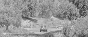 Targa Florio (Part 4) 1960 - 1969  - Page 12 1967-TF-230-007