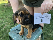 1640076B-D41A-46EE-BC9C-3545F9847C7F