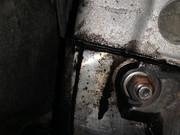 [Pilt: IMG-0117.jpg]