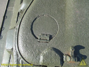 IMG-5567