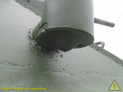IMG-6313
