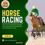 httpscavalryranch.in