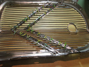 IMG-4081.jpg