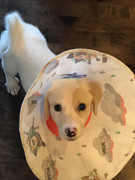 CC19B1F5-DD42-4F05-8E09-076FA76B4FB8