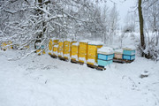 [Obrázky: DSCF0725.jpg]
