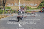IMG-2351
