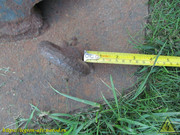 IMG-1411