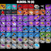 gliders-comp