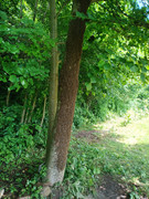 [Obrázky: IMG-20250624-103623-629.jpg]