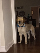 image_2023-02-02_225749732