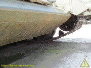 IMG-5540